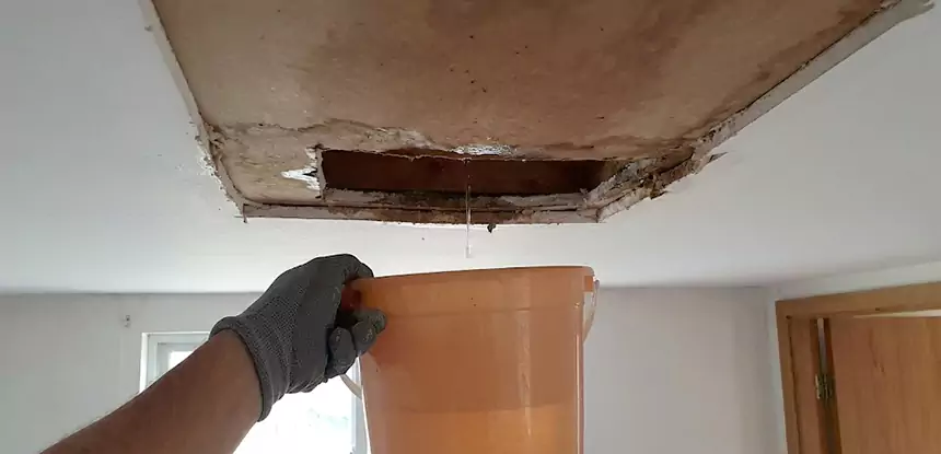 Ceiling Mold Repair Murrayville