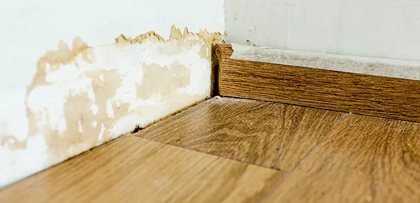 Professional Fix Water Damaged Wood Services in Murrayville, GA