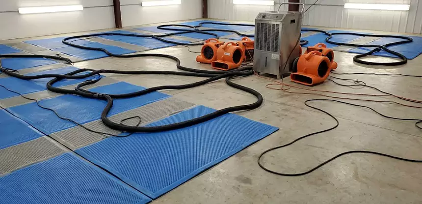Professional Flooded Carpet Drying Services in Murrayville, GA